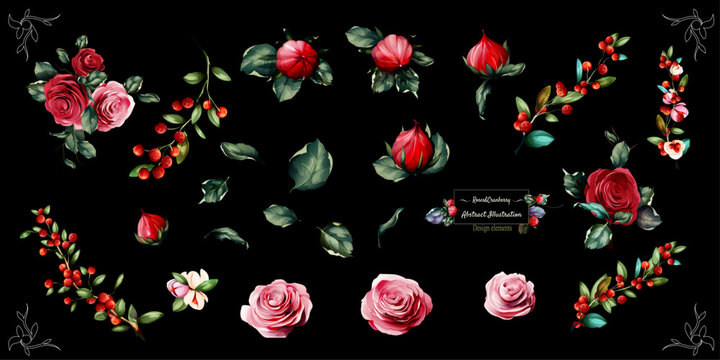 Floral design. Illustration of roses flowers  branch and cranberry isolated on black. For fabric, textile and other prints. Abstract, watercolor. Hand drawn. Vector - stock.