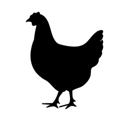 chicken black silhouette icon - perfect for designs about jungle animals chicken nature, wildlife, rainforest, vector art