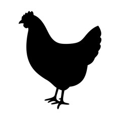 chicken black silhouette icon - perfect for designs about jungle animals chicken nature, wildlife, rainforest, vector art