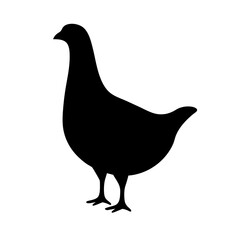 chicken hen black silhouette icon - perfect for designs about jungle animals chicken hen nature, wildlife, rainforest, vector art