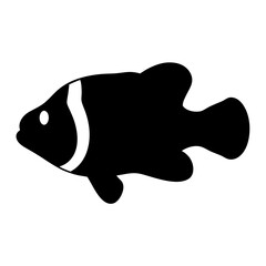 clownfish black silhouette icon - perfect for designs about jungle animals clownfish nature, wildlife, rainforest, vector art