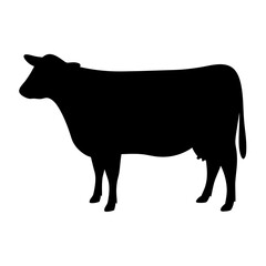 cow black silhouette icon - perfect for designs about jungle animals cow nature, wildlife, rainforest, vector art