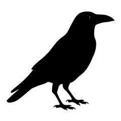 crow black silhouette icon - perfect for designs about jungle animals crow, nature, wildlife, rainforest, vector art
