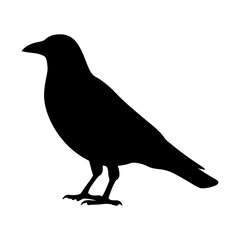 crow black silhouette icon - perfect for designs about jungle animals crow nature, wildlife, rainforest, vector art