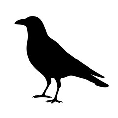 crow black silhouette icon - perfect for designs about jungle animals crow nature, wildlife, rainforest, vector art