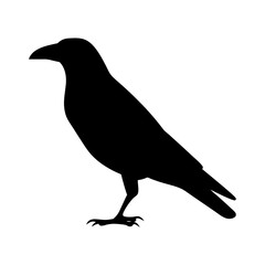 crow black silhouette icon - perfect for designs about jungle animals crow nature, wildlife, rainforest, vector art