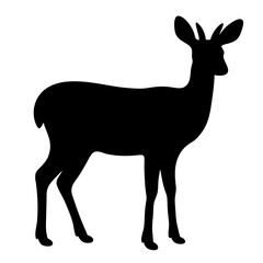 deer black silhouette icon - perfect for designs about jungle animals deer nature, wildlife, rainforest, vector art