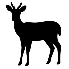 deer black silhouette icon - perfect for designs about jungle animals deer nature, wildlife, rainforest, vector art
