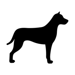 dog black silhouette icon - perfect for designs about jungle animals dog nature, wildlife, rainforest, vector art