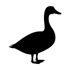 duck black silhouette icon - perfect for designs about jungle animals duck nature, wildlife, rainforest, vector art