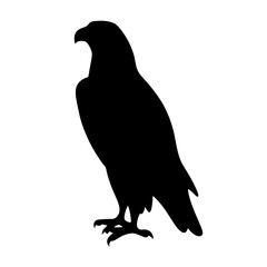 eagle black silhouette icon - perfect for designs about jungle animals eagle, nature, wildlife, rainforest, vector art