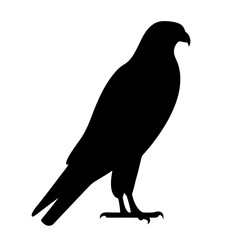 falcon black silhouette icon - perfect for designs about jungle animals falcon nature, wildlife, rainforest, vector art