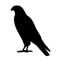falcon black silhouette icon - perfect for designs about jungle animals falcon nature, wildlife, rainforest, vector art
