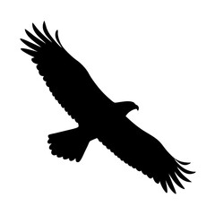 falcon black silhouette icon - perfect for designs about jungle animals falcon nature, wildlife, rainforest, vector art