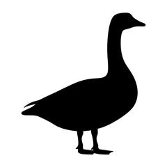 goose black silhouette icon - perfect for designs about jungle animals goose, nature, wildlife, rainforest, vector art