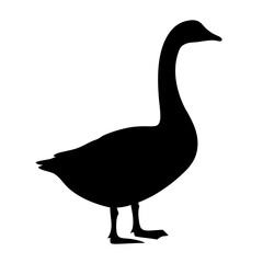 goose black silhouette icon - perfect for designs about jungle animals goose nature, wildlife, rainforest, vector art
