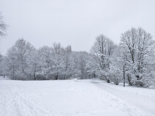 Fototapeta premium Winter Landscape of South Park in city of Sofia, Bulgaria