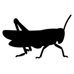 grasshopper black silhouette icon - perfect for designs about jungle animals grasshopper nature, wildlife, rainforest, vector art