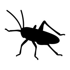 grasshopper black silhouette icon - perfect for designs about jungle animals grasshopper nature, wildlife, rainforest, vector art
