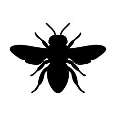 honeybee black silhouette icon - perfect for designs about jungle animals honeybee nature, wildlife, rainforest, vector art