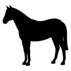 horse black silhouette icon - perfect for designs about jungle animals horse nature, wildlife, rainforest, vector art