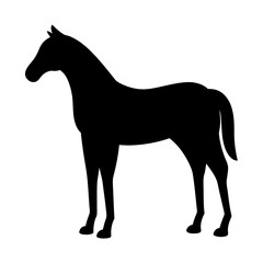 Obraz premium horse black silhouette icon - perfect for designs about jungle animals horse nature, wildlife, rainforest, vector art