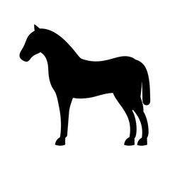 horse black silhouette icon - perfect for designs about jungle animals horse nature, wildlife, rainforest, vector art