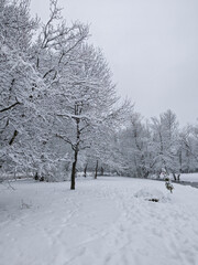 Winter Landscape of South Park in city of Sofia, Bulgaria