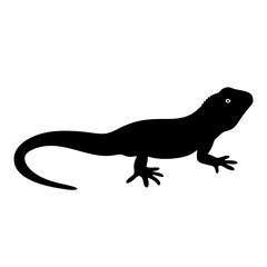 iguana black silhouette icon - perfect for designs about jungle animals iguana nature, wildlife, rainforest, vector art