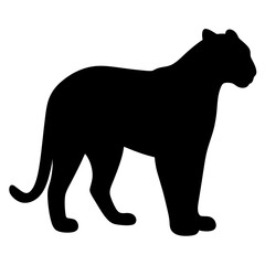 leopard black silhouette icon - perfect for designs about jungle animals leopard nature, wildlife, rainforest, vector art
