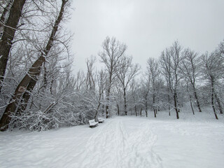 Winter Landscape of South Park in city of Sofia, Bulgaria
