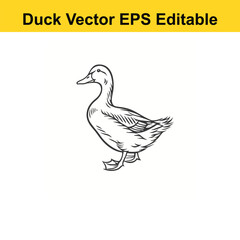 Duck Vector drawing sketch silhouette