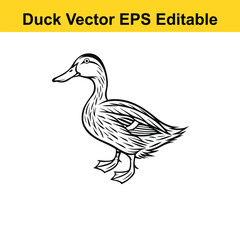 Duck Vector drawing sketch silhouette