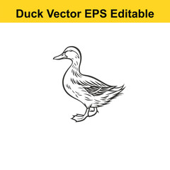 Duck Vector drawing sketch silhouette