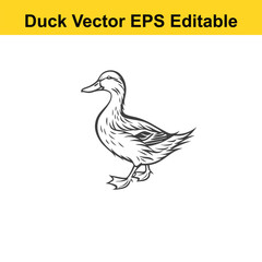 Duck Vector drawing sketch silhouette