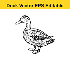 Duck Vector drawing sketch silhouette