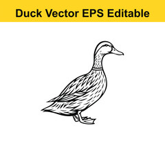 Duck Vector drawing sketch silhouette