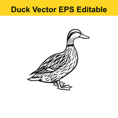 Duck Vector drawing sketch silhouette