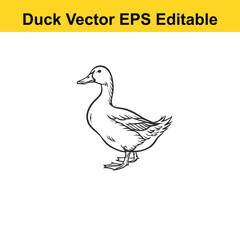Duck Vector drawing sketch silhouette