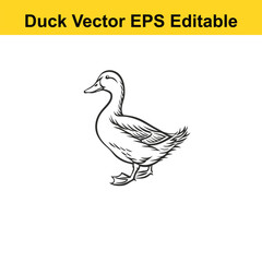 Duck Vector drawing sketch silhouette