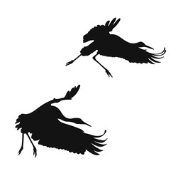 Obraz premium Silhouette of two cranes taking off. Big birds take off from the ground flapping their wings