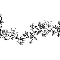 Elegant Floral Border - Hand-Drawn Rose, Lily, and Vine Illustration © MatandSterre