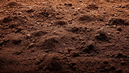 humus soil background