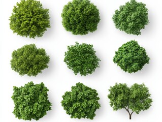 Obraz premium Tree tops from above