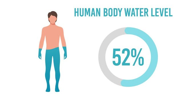 Water Percentage in Human Body on white and Green Screen