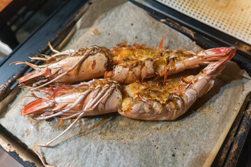グリルしたての特大海老
