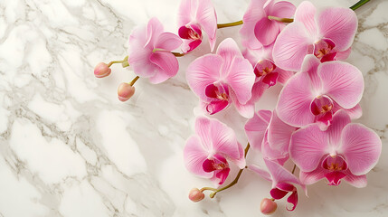 Delicate pink orchids on a marble surface.