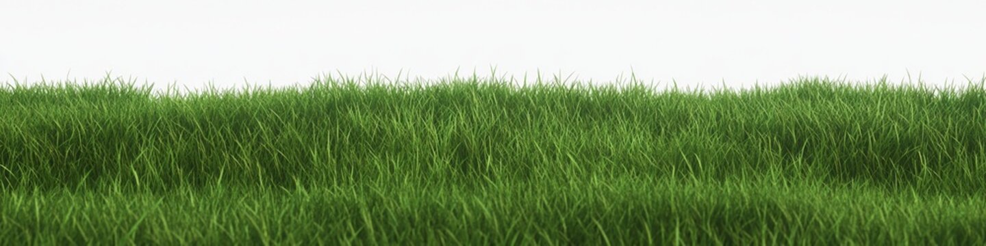 Realistic Grass Texture on White Background for Seamless Green Field Design