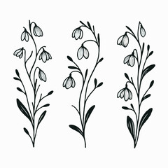 Set of outline snowdrops, leaves, doodle floral pattern. Hand drawn spring Botanical drawing. Detailed line art bluebell illustration. Simple Stylized, minimalist flowers. Elegant Black and White 
