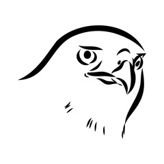 Brown hawk vector sketch Vintage eagle, great design for any purposes.